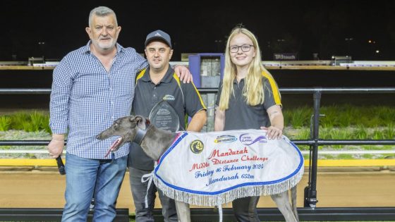 Top greyhound trainer Chris Halse reveals crack team to take on Cannington feature heats – MASHAHER