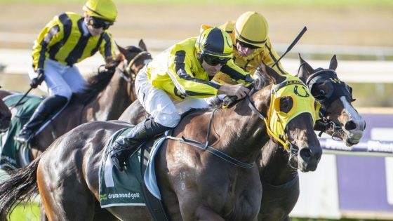 Own The Queen sits firmly on the throne as WA’s best staying filly after victory in the WA Oaks – MASHAHER