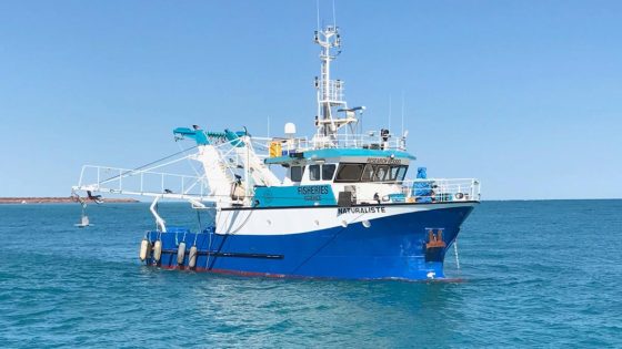 Remote-operated vehicle shows Kimberley sea cucumber fisheries are thriving – MASHAHER