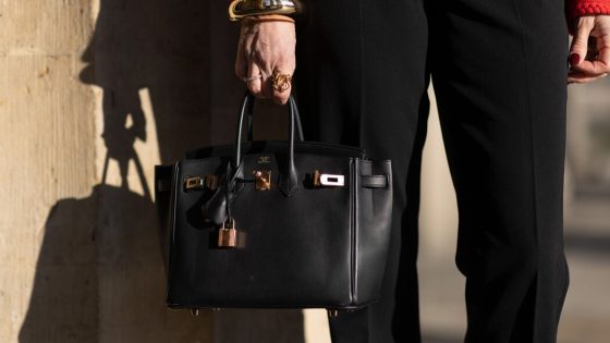 A Birkin Bag Is Hard to Buy – MASHAHER