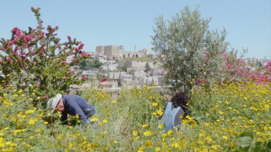 ‘If These Stones Could Talk,’ ‘Mailin’ Win Thessaloniki Agora Awards – MASHAHER