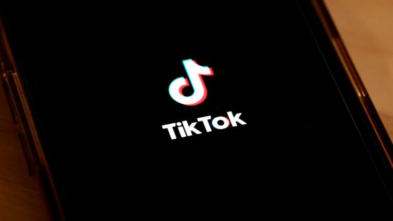 Experts say banning TikTok won’t solve security concerns: ANALYSIS – MASHAHER