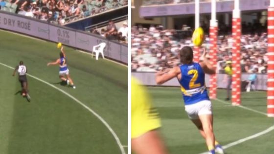 Jake Waterman, out of bounds, howler, goal, Port Adelaide vs West Coast Eagles, umpire, error, Jake Petruccelle – MASHAHER