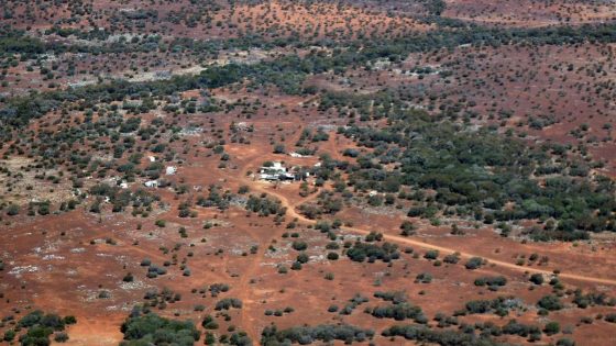 The bodies of missing father and son, James and Ray Dempsey have been found in WA’s remote outback – MASHAHER