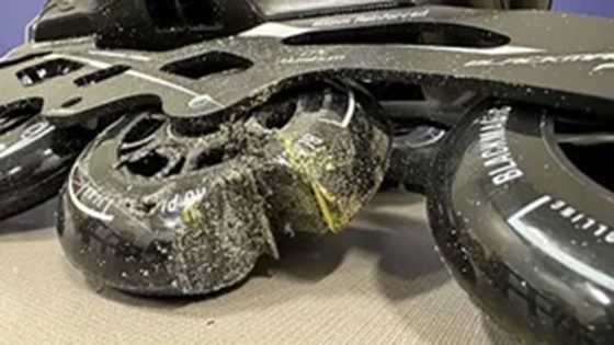 Rollerblade wheels infused with cocaine lead to home with forged immigration docs, deputies say – MASHAHER