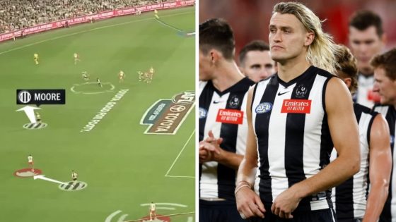 David King puts blowtorch on Darcy Moore’s defensive efforts, video, Collingwood Magpies loss to Sydney Swans, St Kilda Saints, latest news – MASHAHER