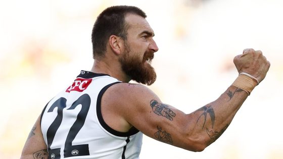 AFL results 2024, Port Adelaide Power def Richmond Tigers Round 2 score, stats, highlights, video, analysis, news – MASHAHER