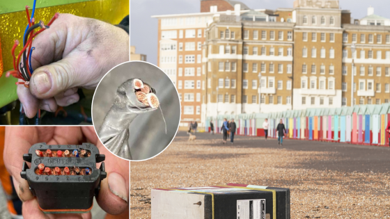 Bin lorry saboteurs ‘hold Brighton to RANSOM’ as rubbish piles up across city – MASHAHER