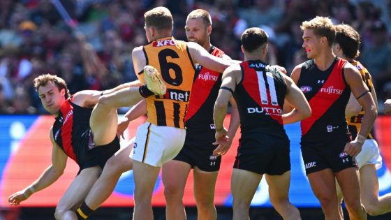 AFL Tribunal 2024 live updates and blog, Hawthorn’s James Sicily suspension appeal for kicking Essendon’s Andrew McGrath, latest news, result – MASHAHER