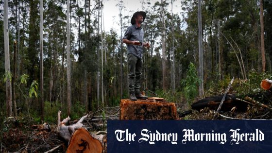 Geoff Cousins declares war on logging – MASHAHER