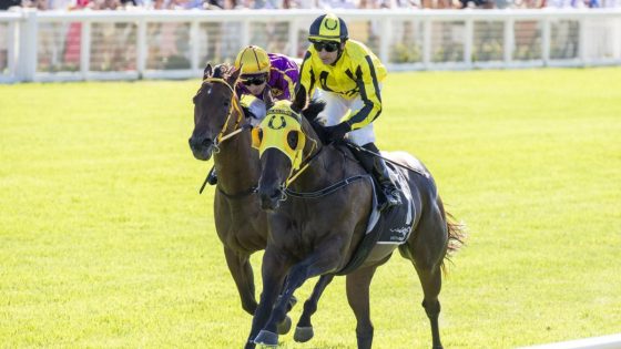 Flying filly Own The Queen reigns supreme once again in Listed Studco – Natasha Stakes – MASHAHER