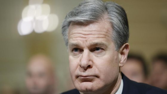 FBI director Christopher Wray speaks candidly on Laken Riley’s death, threats to democracy, civil rights – MASHAHER