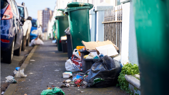 POLL OF THE DAY: Is it time for UK to crack down on litter and restore pride in our streets? – MASHAHER