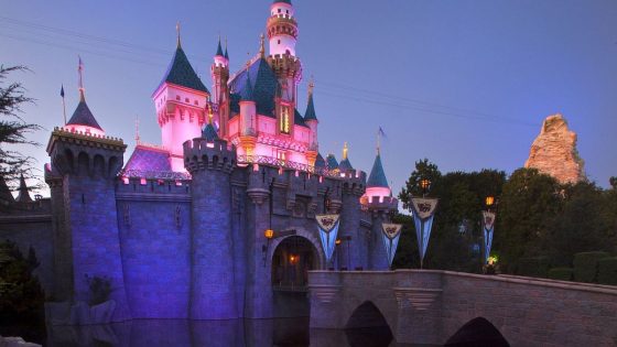 What Can You Bring Into Disneyland? – What To Know If You’re Planning A Visit – MASHAHER