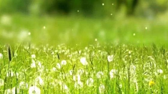 How climate change is impacting seasonal allergies – MASHAHER