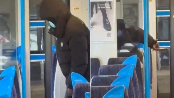 London train stabbing: Desperate manhunt underway after broad-daylight attack – MASHAHER