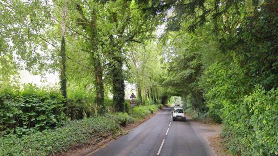 Woman arrested on suspicion of murder after boy, nine, dies in three-vehicle crash in Dorset | UK News – MASHAHER