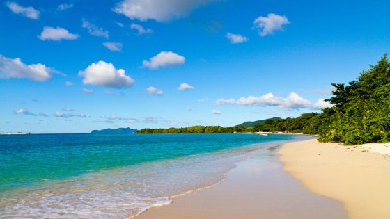 British couple die on Caribbean island of Grenada after being found on beach | World News – MASHAHER