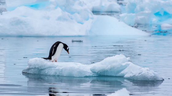 Human-driven climate change has ‘slowed the Earth’s rotation’ and could affect how we measure time, study suggests | Science & Tech News – MASHAHER