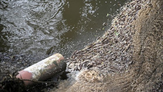 Faulty sewage spill monitors spark accusations of ‘environmental cover up’ by water firms | Politics News – MASHAHER