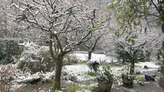 People wake up to snow on first weekend of spring | UK News – MASHAHER