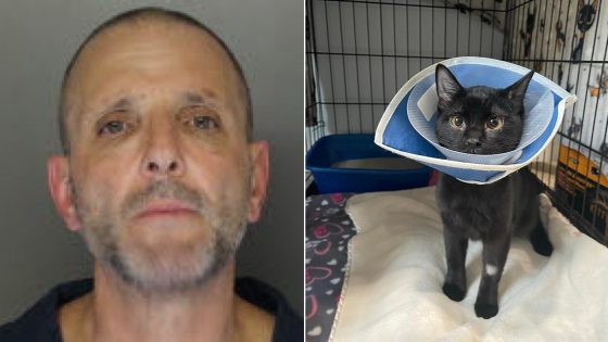 Pennsylvania man accused of skinning kitten’s face ‘down to the bone’ claimed it was a jaguar: officials – MASHAHER