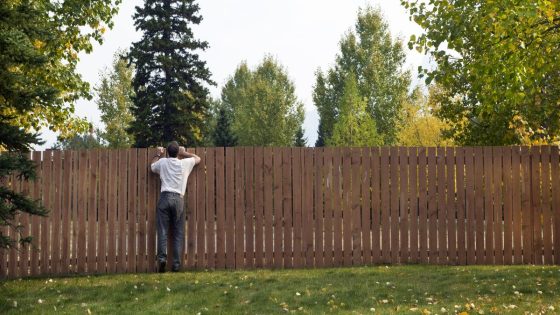 Woman outraged after neighbour ruined her hedge and installed fence – then had gall to demand £3,000 – MASHAHER