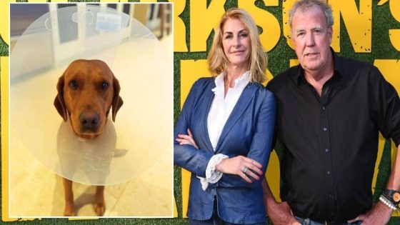 Jeremy Clarkson in terrifying vets dash as pet dog rushed to surgery after Diddly Squat incident – MASHAHER