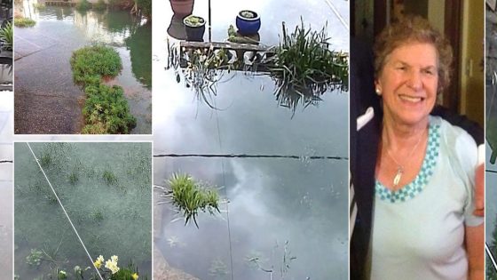 Pensioner forced to leave home after being told she ‘may die’ before sewage leak fixed – MASHAHER