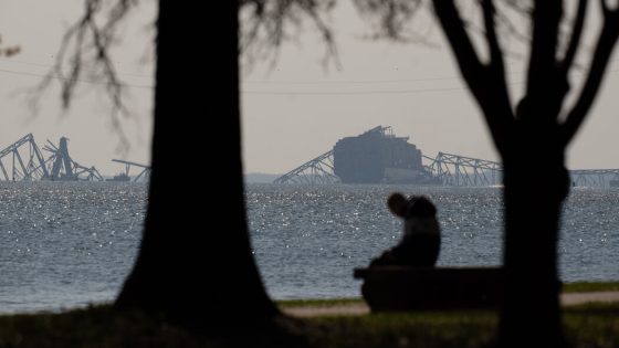 What the Francis Scott Key Bridge Meant to Baltimore – MASHAHER