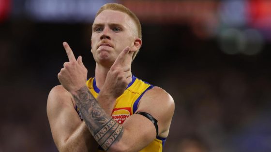 Mitchell Woodcock: West Coast Eagles find the identity they’ve been searching for in western derby upset – MASHAHER