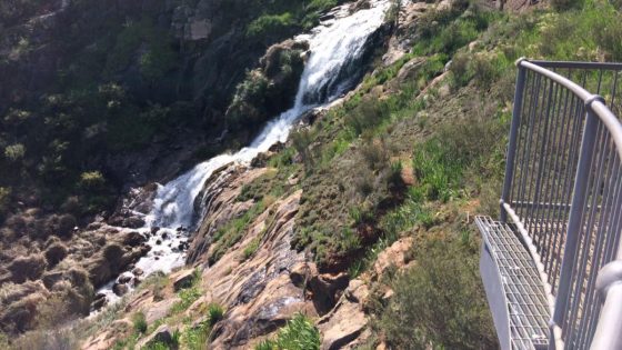 Lesmurdie Falls: Vertical rescue underway, rescue chopper sent to help save injured person – MASHAHER