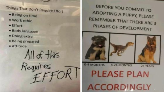 19 Signs From The Past Week That Are Way, Way, Way, Way, Way, Way Funnier Than You’ll Ever Be – MASHAHER