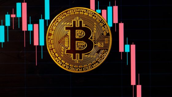 Bitcoin tumbles $5,000 in 24 hours as interest rates jump – MASHAHER