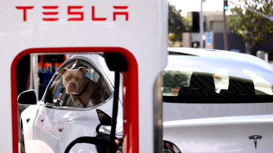 Analyst whose downgrade is hitting Tesla says the investing case has structurally changed, sees earnings downside – MASHAHER