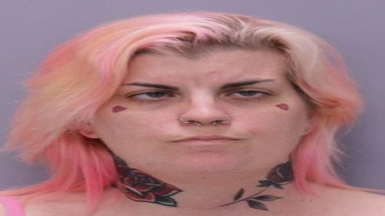 Woman accused of sexual battery, human trafficking of nonverbal girl, St. Johns deputies say – MASHAHER