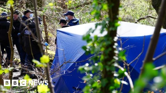 Murder arrest over torso found in woodland – MASHAHER