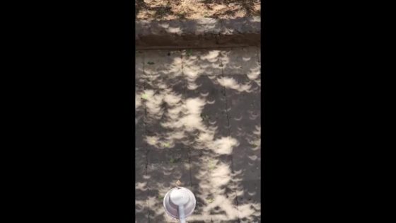 Solar Eclipse Creates Mini Moon Shadows on Ground in Mexico City – MASHAHER