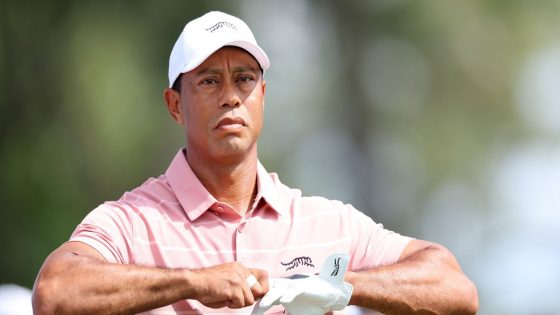 Tiger Woods ranked ‘most overrated’ golfer in controversial poll just ahead of Rory McIlroy – MASHAHER