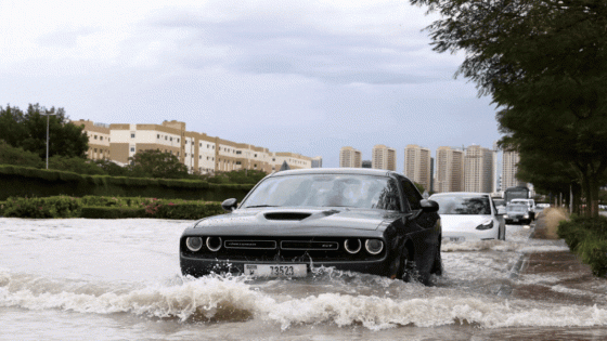 Watch: Water sports on the streets of Dubai as floods hit parts of UAE – MASHAHER