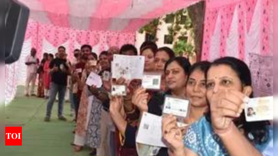 Phase 2 turnout higher than 2019 in Maharashtra, Karnataka & Chhattisgarh | India News – MASHAHER