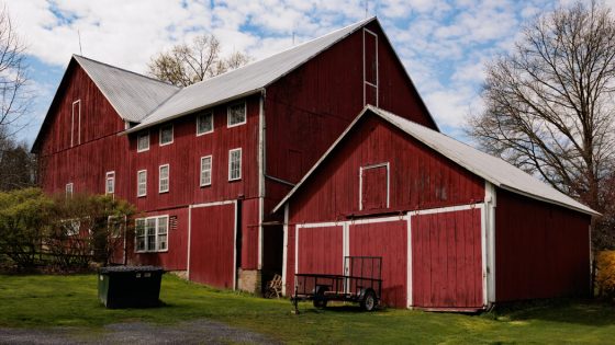 Dave McCormick, GOP Senate Candidate, Says He Grew Up on a Family Farm. Not Exactly. – MASHAHER