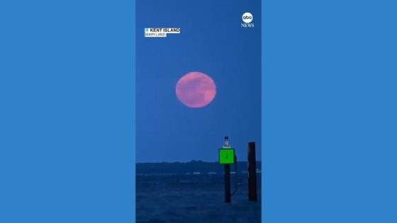 WATCH: Full 'pink moon' revealed in timelapse footage – MASHAHER