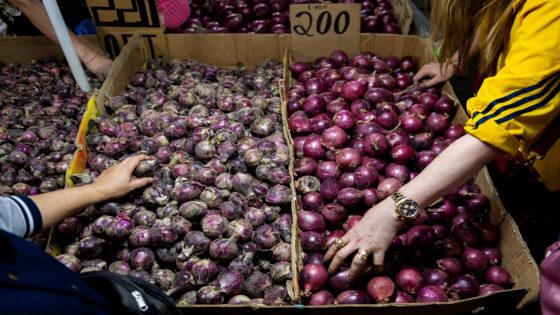 Red onions to be cultivated in Perak Tengah, says exco members – MASHAHER