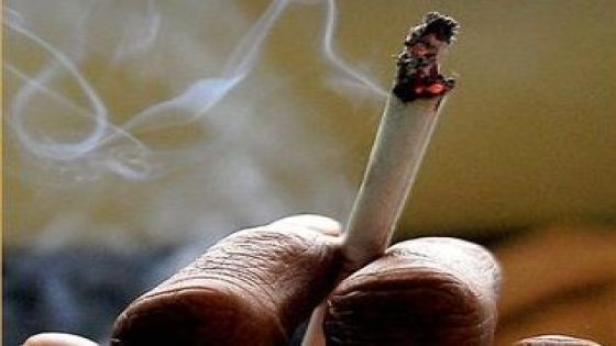 RM1.4mil in compounds issued for smoking offences in March, says Health Ministry – MASHAHER