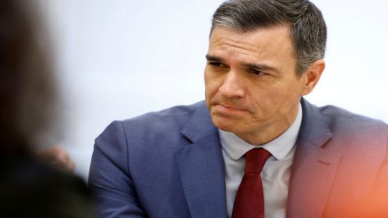 Spanish PM Sanchez shocks country again putting his continuity on the line – MASHAHER