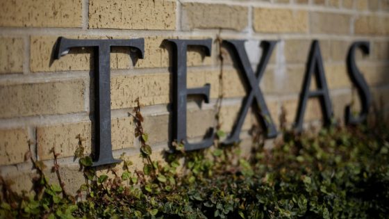 University of Texas professors demand reversal of job cuts from shuttered DEI initiative – MASHAHER