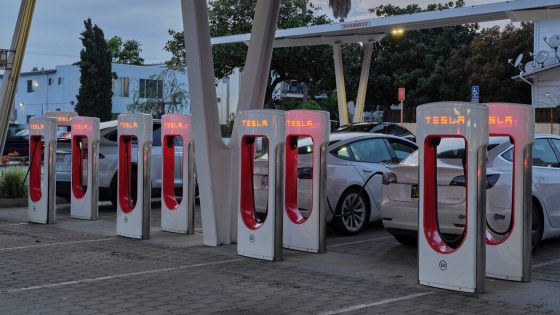 Tesla Fires Charger Team Amid Hundreds of Layoffs – MASHAHER