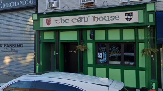 Irish woman dies after New York bar stabbing – MASHAHER