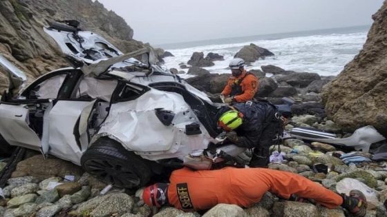 Man who drove Tesla off cliff with family in car was ‘psychotic,’ doctors say – MASHAHER